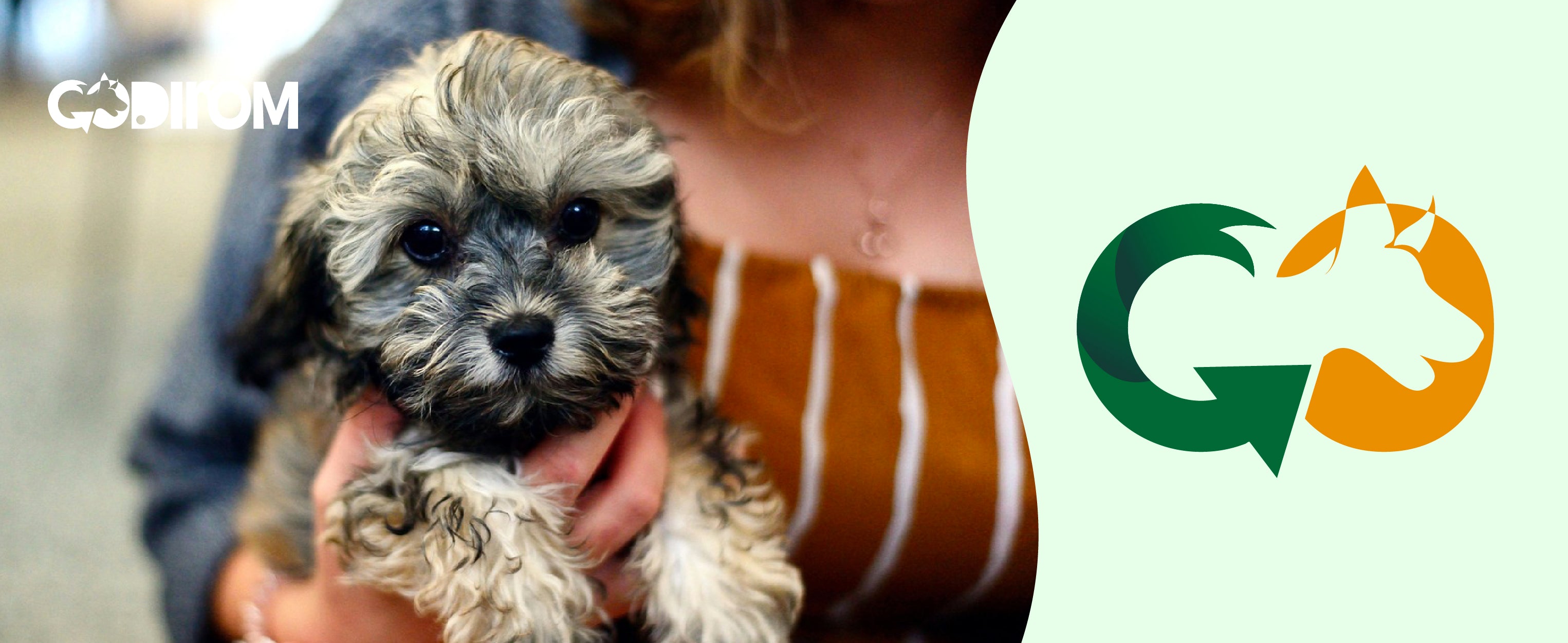 Codirom | Poop Bags Compostable - To Continue the World